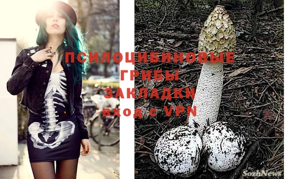 марки nbome Медвежьегорск