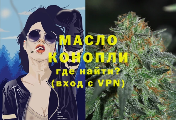 ешки Медногорск