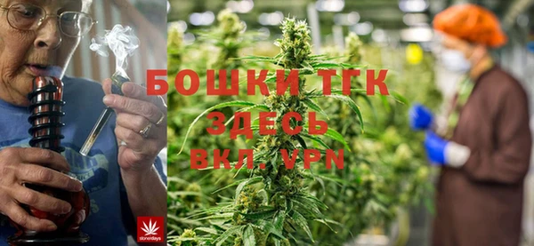 ешки Медногорск