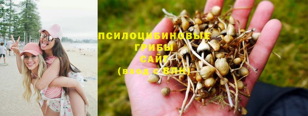 spice Мегион