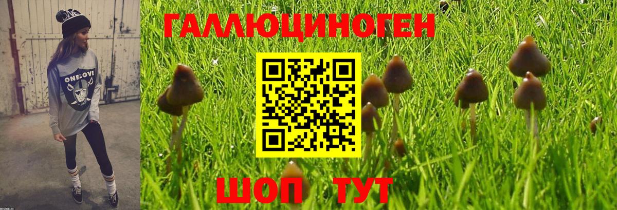 Псилоцибиновые грибы Magic Shrooms Донской