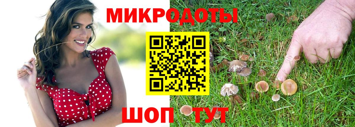 ГАШ Донской
