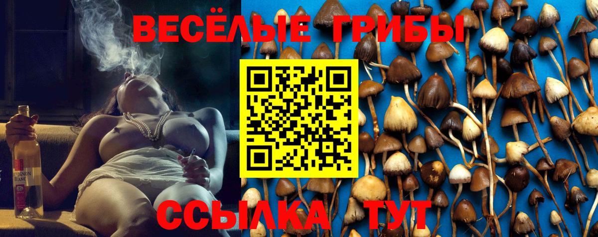 Галлюциногенные грибы мицелий  Вход с VPN  как найти   Донской 