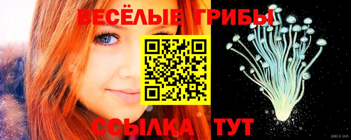 Псилоцибиновые грибы мицелий Донской